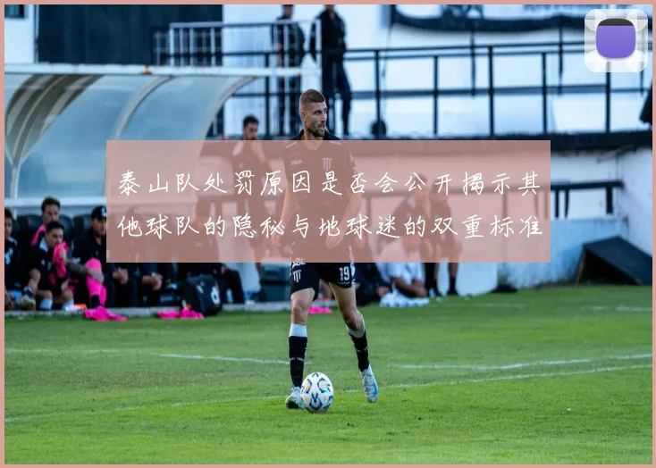 泰山队处罚原因是否会公开揭示其他球队的隐秘与地球迷的双重标准