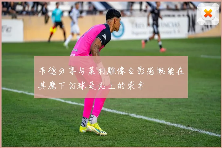 韦德分享与莱利雕像合影感慨能在其麾下打球是无上的荣幸