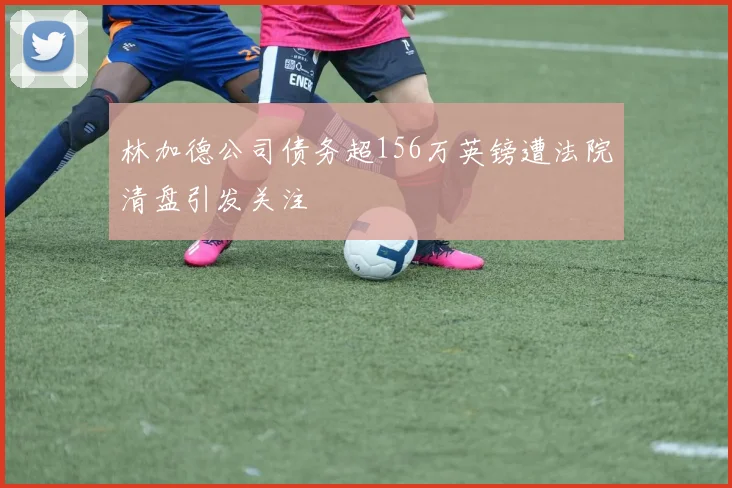 林加德公司债务超156万英镑遭法院清盘引发关注