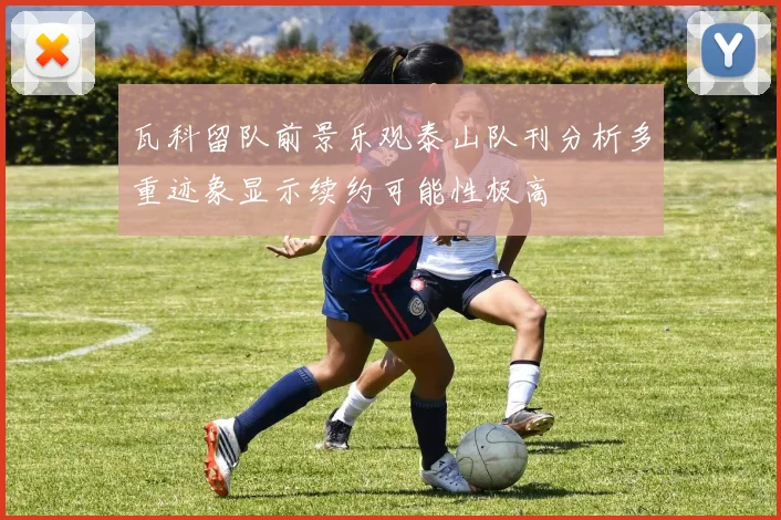 瓦科留队前景乐观泰山队刊分析多重迹象显示续约可能性极高